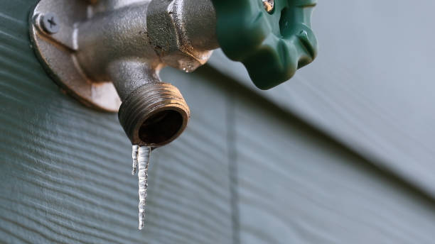 Best Plumbing Repair Near Me  in Preston, MN
